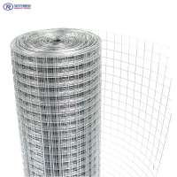 low price PVC coated or galvanized welded wire mesh